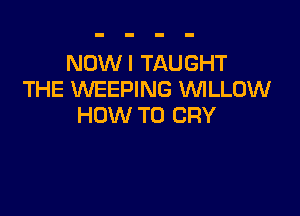 NOWI TAUGHT
THE WEEPING 'WILLOW

HOW TO CRY
