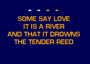 SOME SAY LOVE
IT IS A RIVER
AND THAT IT BROWNS
THE TENDER REED