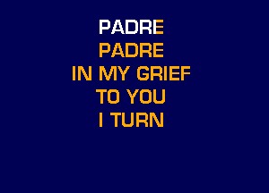 PADRE
PADRE
IN MY GRIEF

TO YOU
I TURN