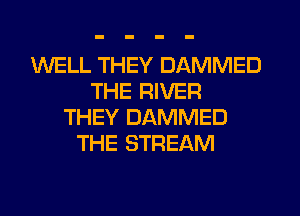WELL THEY DAMMED
THE RIVER
THEY DAMMED
THE STREAM
