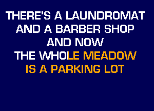 THERE'S A LAUNDROMAT
AND A BARBER SHOP
AND NOW
THE WHOLE MEADOW
IS A PARKING LOT