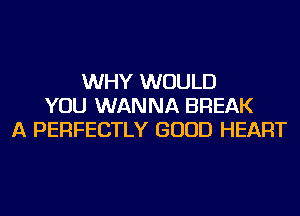 WHY WOULD
YOU WANNA BREAK
A PERFECTLY GOOD HEART
