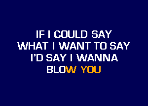 IF I COULD SAY
WHAT I WANT TO SAY

I'D SAY I WANNA
BLOW YOU