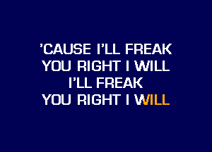 'CAUSE I'LL FREAK
YOU RIGHT I WILL

I'LL FREAK
YOU RIGHT I WILL