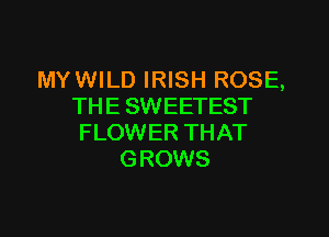 MYWILD IRISH ROSE,
THE SWEETEST

FLOWER THAT
GROWS