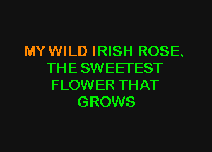 MYWILD IRISH ROSE,
THE SWEETEST

FLOWER THAT
GROWS
