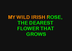 MYWILD IRISH ROSE,
THE DEAREST

FLOWER THAT
GROWS