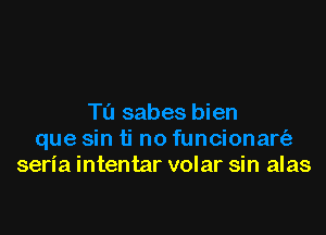 seria intentar volar sin alas