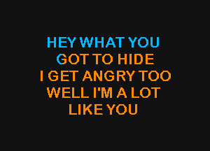 HEY WHAT YOU
GOT TO HIDE

I GET ANGRY TOO
WELL I'M A LOT
LIKE YOU