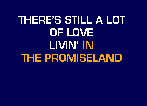 THERE'S STILL A LOT
OF LOVE
LIVIN' IN

THE PROMISELAND
