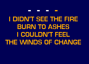 I DIDN'T SEE THE FIRE
BURN T0 ASHES
I COULDN'T FEEL
THE WINDS OF CHANGE