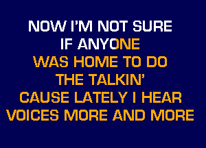 NOW I'M NOT SURE
IF ANYONE
WAS HOME TO DO
THE TALKIN'
CAUSE LATELY I HEAR
VOICES MORE AND MORE