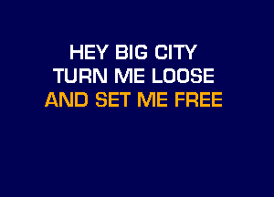 HEY BIG CITY
TURN ME LOOSE

AND SET ME FREE