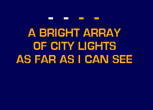 A BRIGHT ARRAY
OF CITY LIGHTS

AS FAR AS I CAN SEE