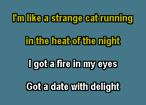 I'm like a strange cat running

in the heat of the night

I got a fire in my eyes

Got a date with delight