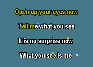 Open Up your eyesnow

Tell me'What you see

It is no surprise nd'w

What you se'b is me ,