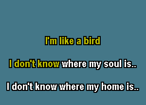 I'm like a bird

I don't know where my soul is..

I don't know where my home is..