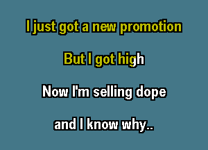 ljust got a new promotion

But I got high

Now I'm selling dope

and I know why..