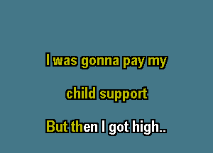 I was gonna pay my

child support

But then I got high..