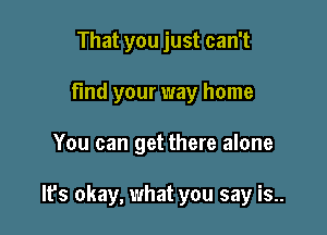 That you just can't
find your way home

You can get there alone

It's okay, what you say is..