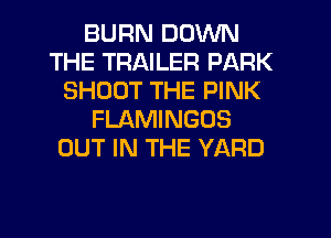 BURN DOWN
THE TRAILER PARK
SHOOT THE PINK
FLAMINGOS
OUT IN THE YARD