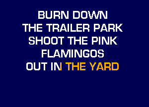 BURN DOWN
THE TRAILER PARK
SHOOT THE PINK
FLAMINGOS
OUT IN THE YARD