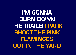 I'M GONNA
BURN DOWN
THE TRAILER PARK
SHOOT THE PINK
FLAMINGOS
OUT IN THE YARD