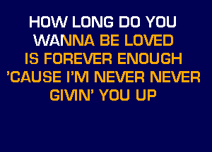 HOW LONG DO YOU
WANNA BE LOVED
IS FOREVER ENOUGH
'CAUSE I'M NEVER NEVER
GIVIM YOU UP