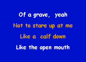 Of a gmve, yeah

Not to stare up at me
Like a calf down

Like the open mouth