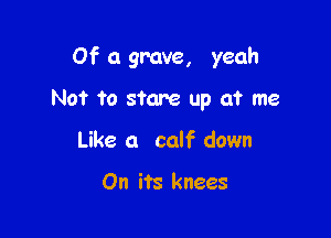 Of a gmve, yeah

Not to stare up at me
Like a calf down

On its knees