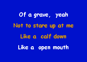 Of a gmve, yeah

Not to stare up at me
Like a calf down

Like a open mouth