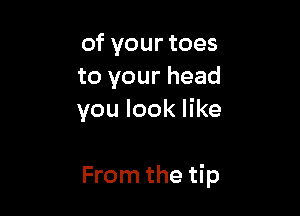 of your toes
to your head
you look like

From the tip