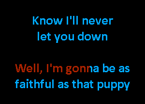 Know I'll never
let you down

Well, I'm gonna be as
faithful as that puppy