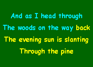 And as I head through
The woods on the way back

The evening sun is slanting

Through the pine