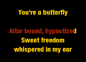 You're a butterfly

Altar bound, hypnotized
Sweet freedom

whispered in my ear I