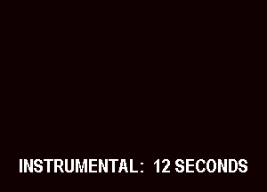 INSTRUMENTALi 12 SECONDS