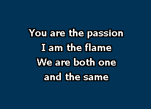 You are the passion

I am the flame
We are both one
and the same