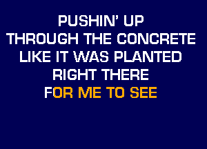 PUSHIN' UP
THROUGH THE CONCRETE
LIKE IT WAS PLANTED
RIGHT THERE
FOR ME TO SEE