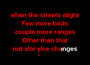 when the streets alight
Few more birds
couple more ranges
Other than that
not alot glse changes

A