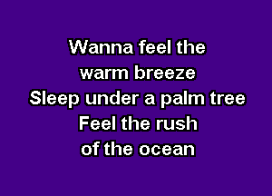 Wanna feel the
warm breeze

Sleep under a palm tree
Feel the rush
of the ocean