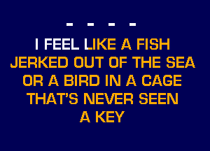 I FEEL LIKE A FISH
JERKED OUT OF THE SEA
OR A BIRD IN A CAGE
THAT'S NEVER SEEN
A KEY