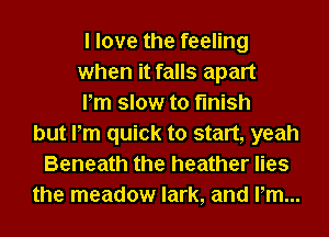 I love the feeling
when it falls apart
Pm slow to finish
but Pm quick to start, yeah
Beneath the heather lies
the meadow lark, and Pm...