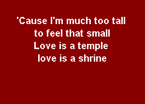 'Cause I'm much too tall
to feel that small
Love is a temple

love is a shrine