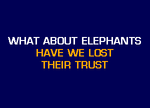 WHAT ABOUT ELEPHANTS
HAVE WE LOST
THEIR TRUST
