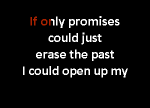 If only promises
could just

erase the past
I could open up my