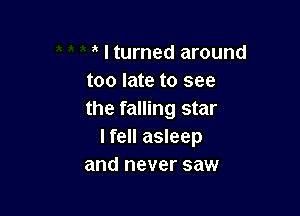 I turned around
too late to see

the falling star
I fell asleep
and never saw