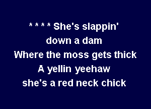3' She's slappin'
down a dam

Where the moss gets thick
A yellin yeehaw
she's a red neck chick