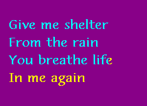Give me shelter
From the rain

You breathe life
In me again