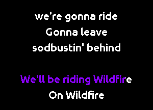 we're gonna ride
Gonna leave
sodbustin' behind

We'll be riding Wildfire
On Wildfire