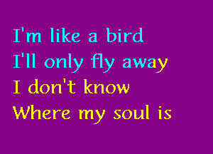 I'm like a bird
I'll only fly away

I don't know
Where my soul is